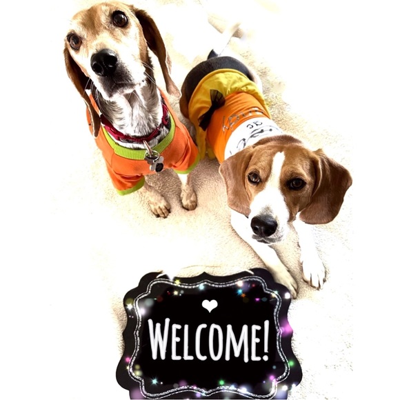 Welcome! - Picture 3 of 16